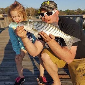 Meet your Posher, Joshua